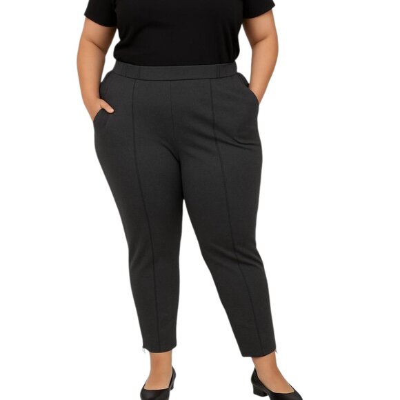 Universal Standard Women's Dark Grey Ankle Zip Pintuck Pants Size 34-36 NWT - Picture 1 of 13